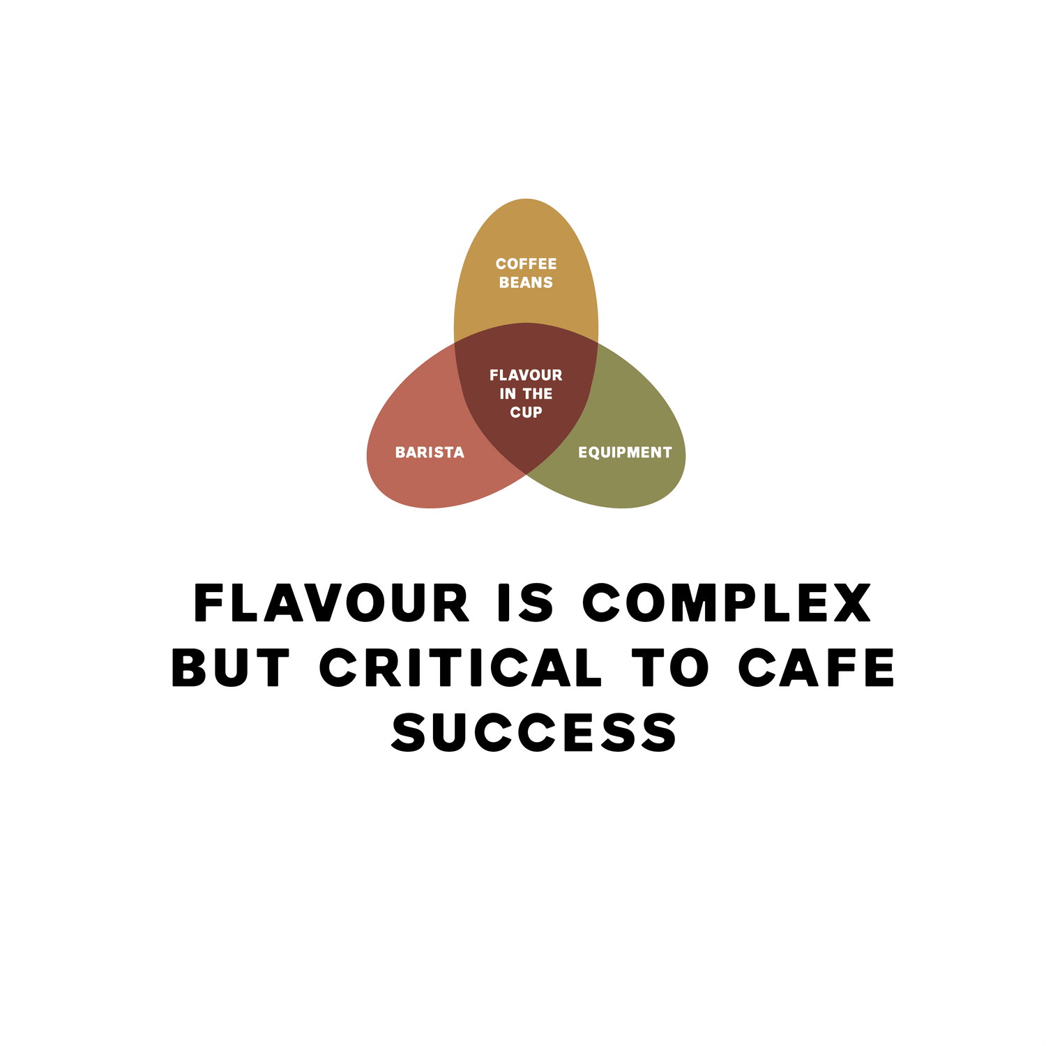 OUR IN-DEPTH GUIDE TO THE SCIENCE OF FLAVOUR IN THE CUP