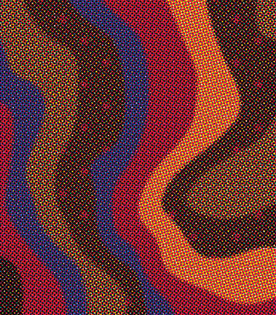 Colombia Reforest Project Natural Guamo