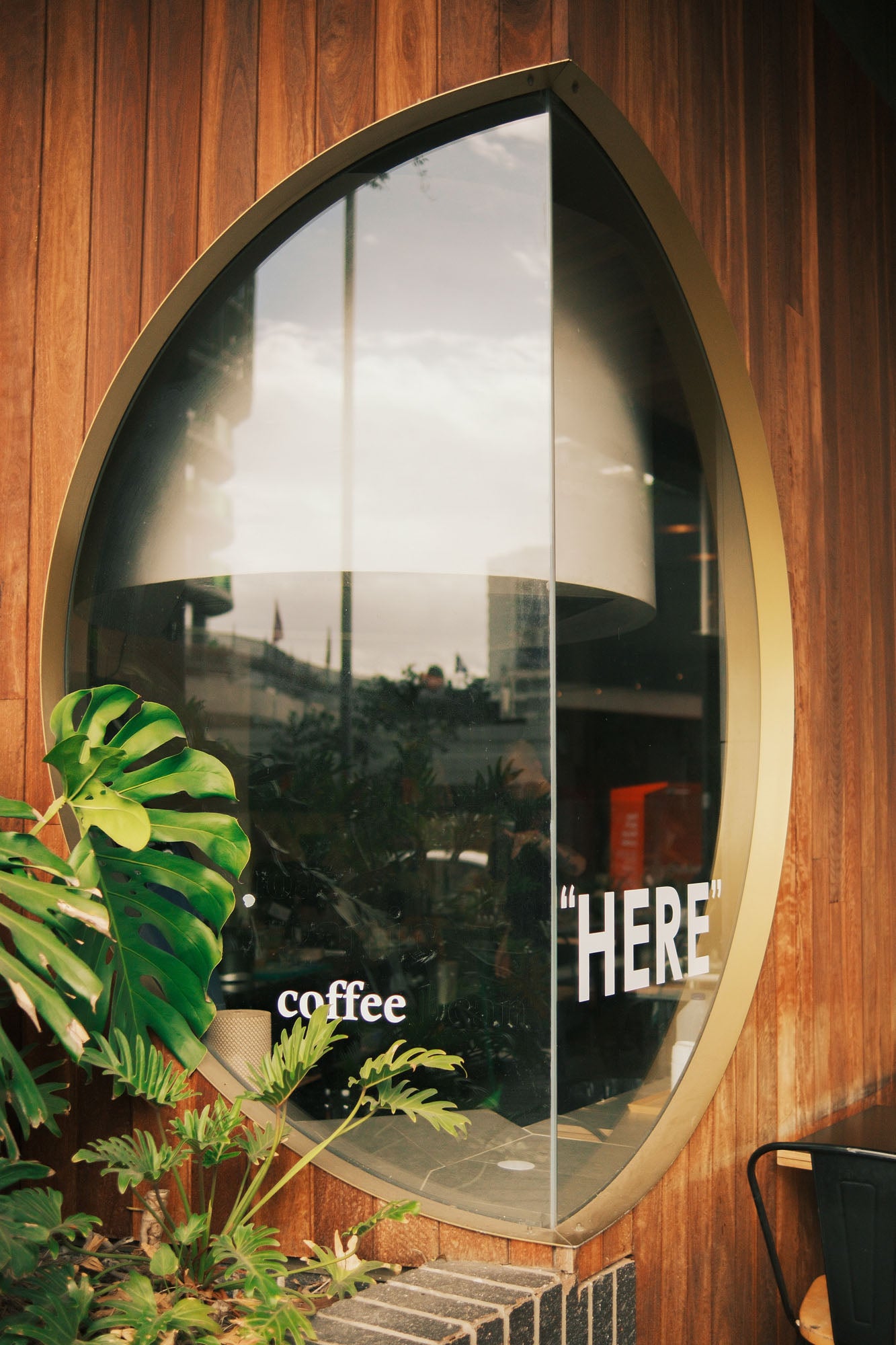 best coffee in Newstead